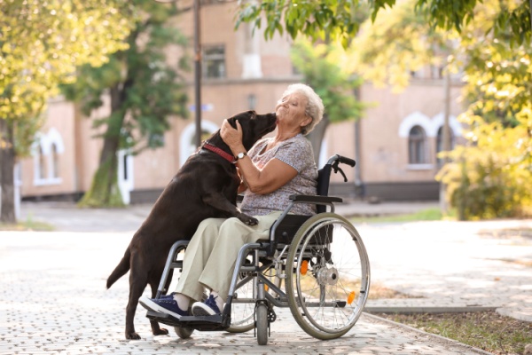 EHPAD et animaux de compagnie des résidents : les conditions sont connues !